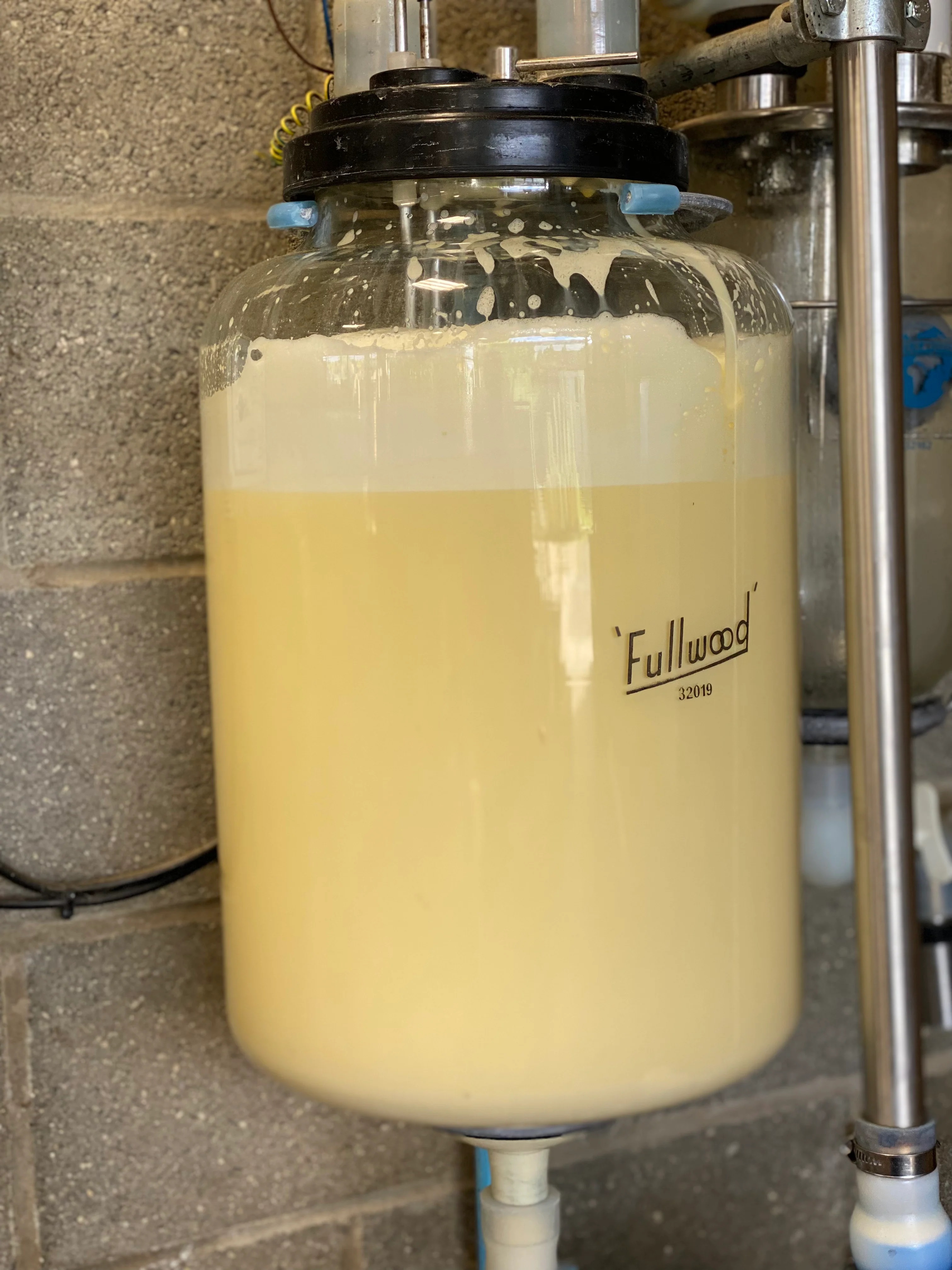 Kolostrumas (Colostrum) – 3